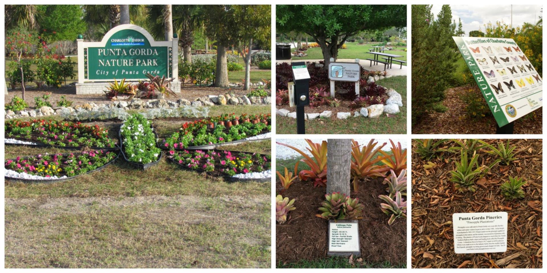 PicMonkey Collage - Nature Park 1