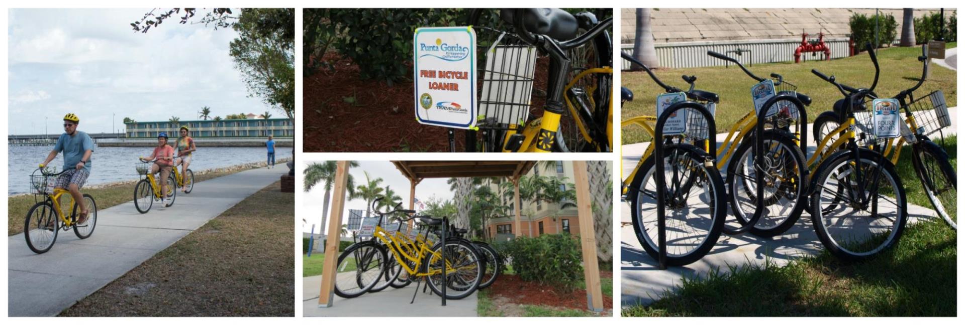 PicMonkey Collage - bike loan program