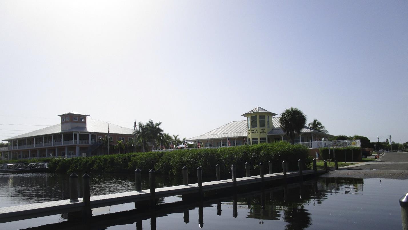 Living Shoreline in Punta Gorda